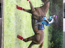 Sole use yard or grazing