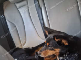 Beautiful Dora
