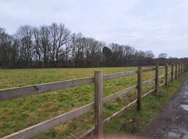 Yard hand required in exchange for discounted stabling and paddock