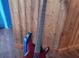 Bass guitar Cort PJ Action 4 string in Rosewood