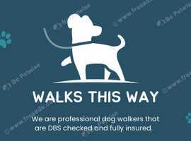 Looking for field to rent for dog walks sole use only.