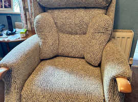 Bush mobility recliner and raiser electric chair