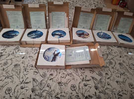 BARGAIN!!  Decorative Plates