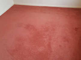 FREE - Carpet 3.2m x 2.8m