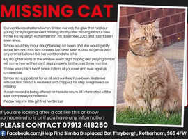 Help Find Simba Displaced cat - Thrybergh, Rotherham S65 4FW