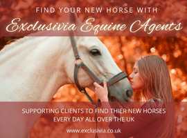 Stop searching...  Lets the experts find your new horse! UK wide Business....
