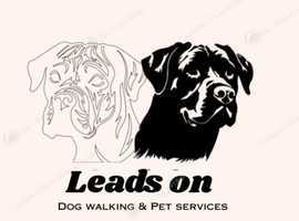 Leads On Pet Services