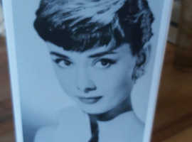 Timeless Audrey Hepburn collection.