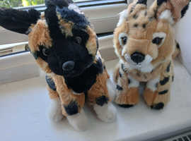New soft teddies