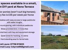 Livery spaces available in quiet DIY yard