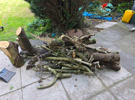 Free firewood
