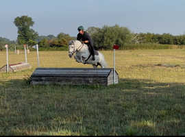 Fun Allrounder