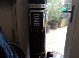 Boxing MMA Punch Bag and Gloves