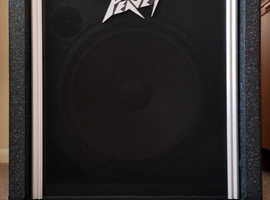Peavey USA Built Combo Amplifier