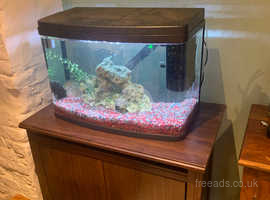 Large Fish Tank in Banbury on Freeads Classifieds - Aquariums