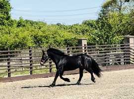 Marley perfect unflapable cob