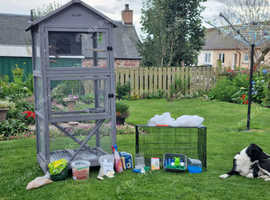 cages and accessories