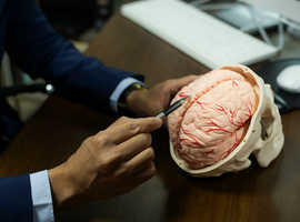 See a Private Neurologist in Lytham Without Delay