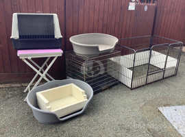 Dog pen, cages, table and beds
