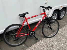 Apollo mountain bike for sale