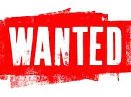Seeking 15.2hh or above.