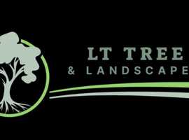 LT Tree and landscapes