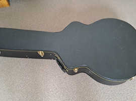 Hard guitar case for sale