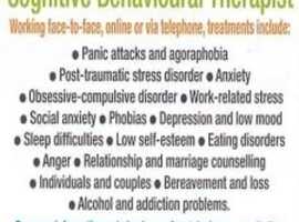 Counsellor / Therapist