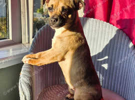PLEASE HELP LOVELY LOTTIE