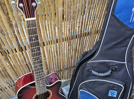 Acoustic Electro guitar