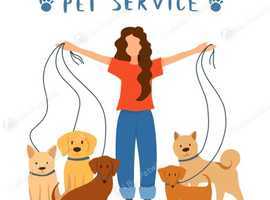Coco & Lu Pet Service