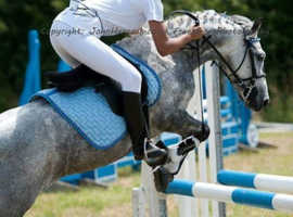 !Want old leather pony saddle!
