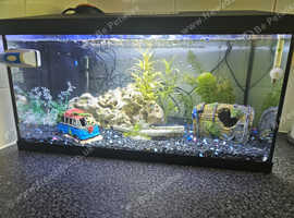 Fishtank & Contents For Sale.
