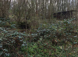 LAND FOR SALE EAST SUSSEX UDIMORE TN316FU