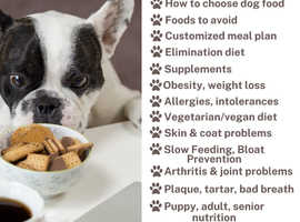Pet Nutrition support for dog owners & pet food businesses