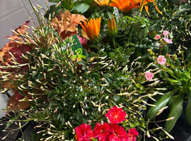 Female. Landscape Gardener