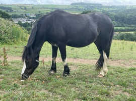 **Beautiful Boy***