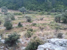 LAND FOR SALE IN TURKEY