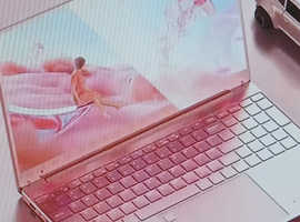 Pink Laptop Windows 10 Office