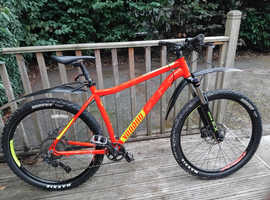 Apollo Spektor Bike. 6 Speed 20 Inch Wheels. in Oldbury West Midlands Freeads