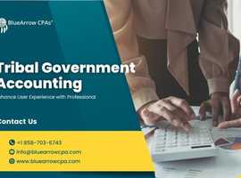 Specialized Tribal Government Accounting for Your Unique Needs