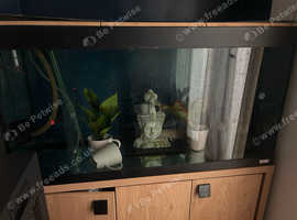 Fluval roma 200 fish tank
