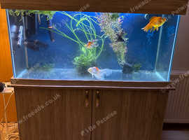 324 litre aquarium
