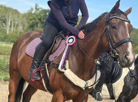 Any one for a total plod / first horse