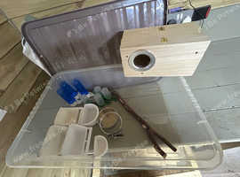 New Budgie nest box and bird feeders