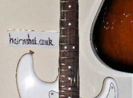 FENDER STRAT Player MiM 2019-20