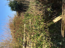 GARDENER FOR THE ELDERLY