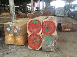 timber sawn lumbers, round logs quare logs for sale