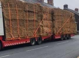 Cattle,sheep,horse transport.