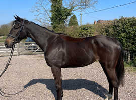 Genuine Mare RoR eligible